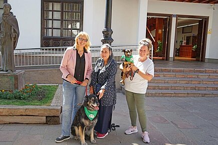 Beim Besuch der Grundschule Óscar Domínguez in Arona.