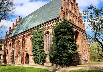 Efeu an einer Kirchenfassade.